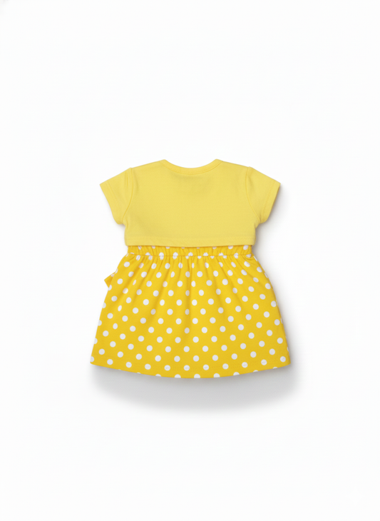 Frock ( Size:12-18 Months)