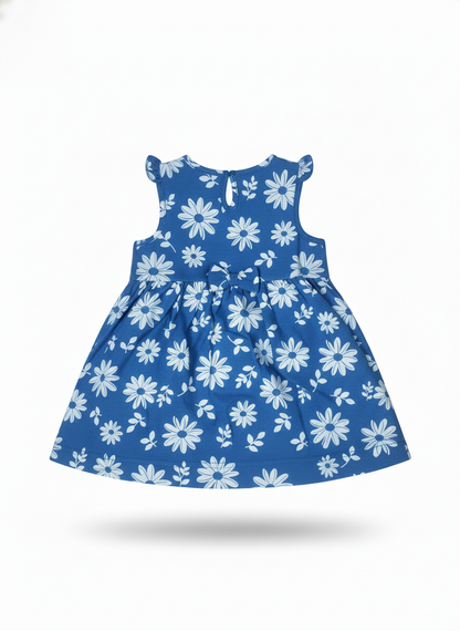 Frock (Size: 12-18 Months)