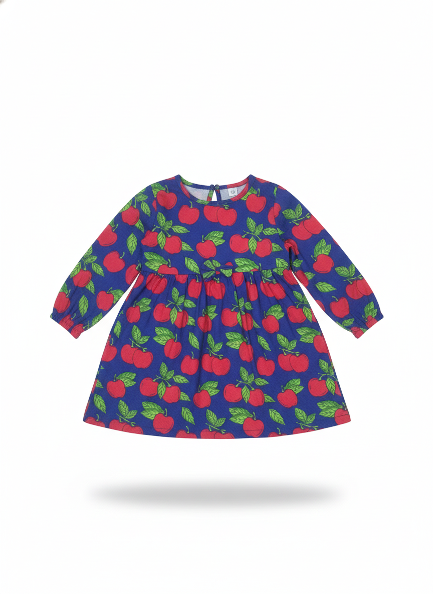 Frock (Size:18-24 Months)
