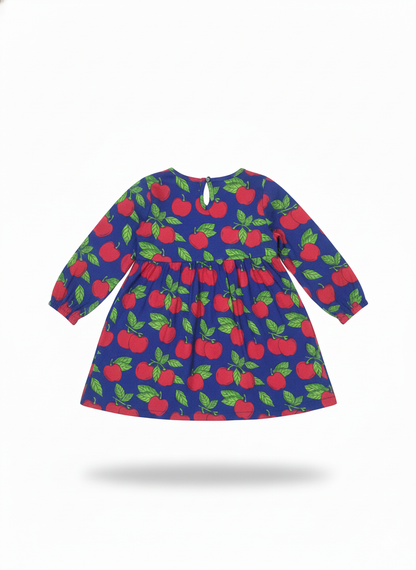 Frock (Size:18-24 Months)