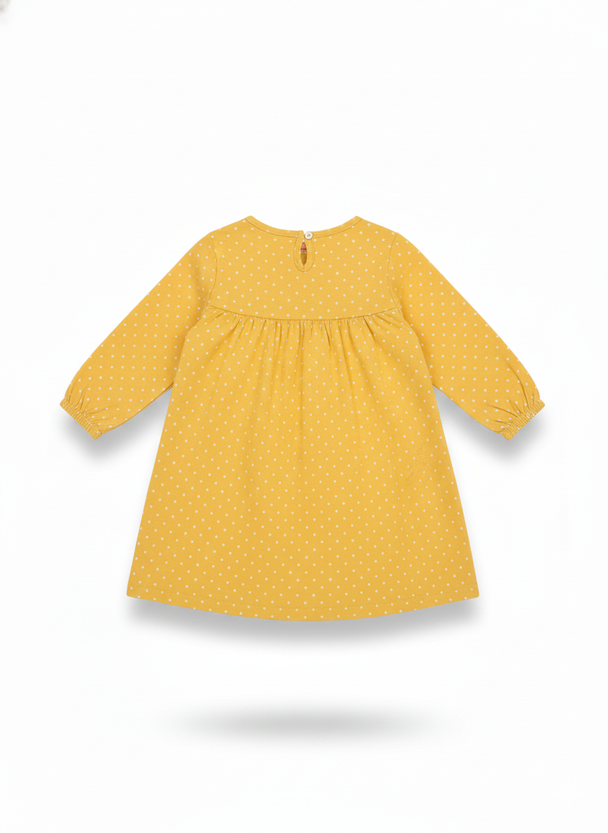 Frock (Size: 18-24 Months)