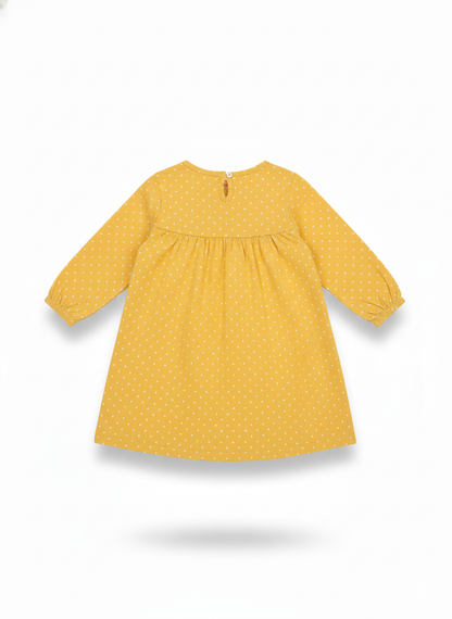 Frock (Size: 18-24 Months)