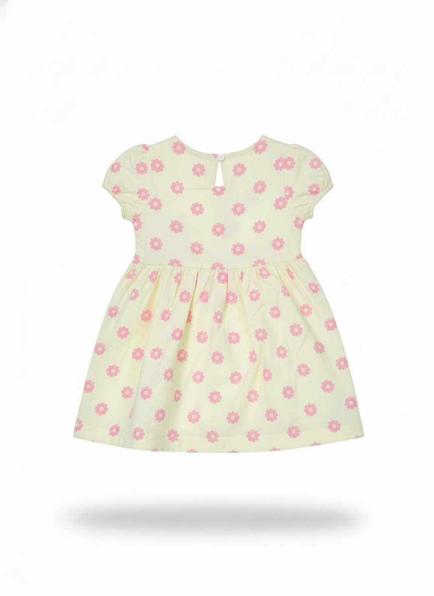 Frock (Size:6-9 Months)