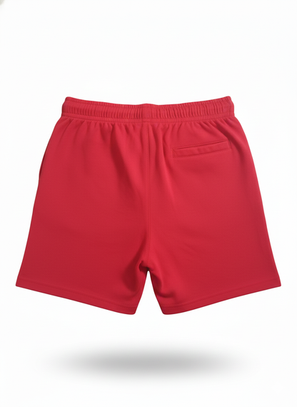 Shorts (Size: 12-18 Months)