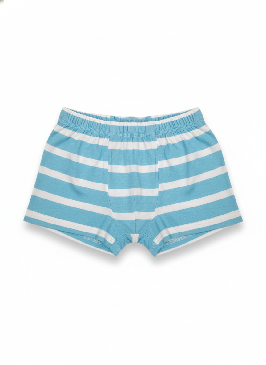 Shorts (Size:12-18 Months)
