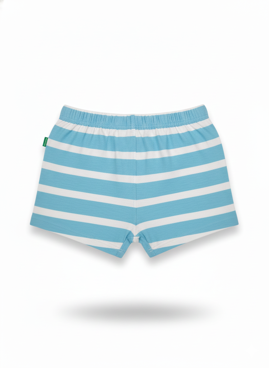 Shorts (Size:12-18 Months)