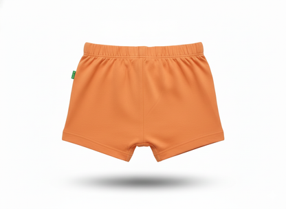 Shorts (Size:12-18 Months)