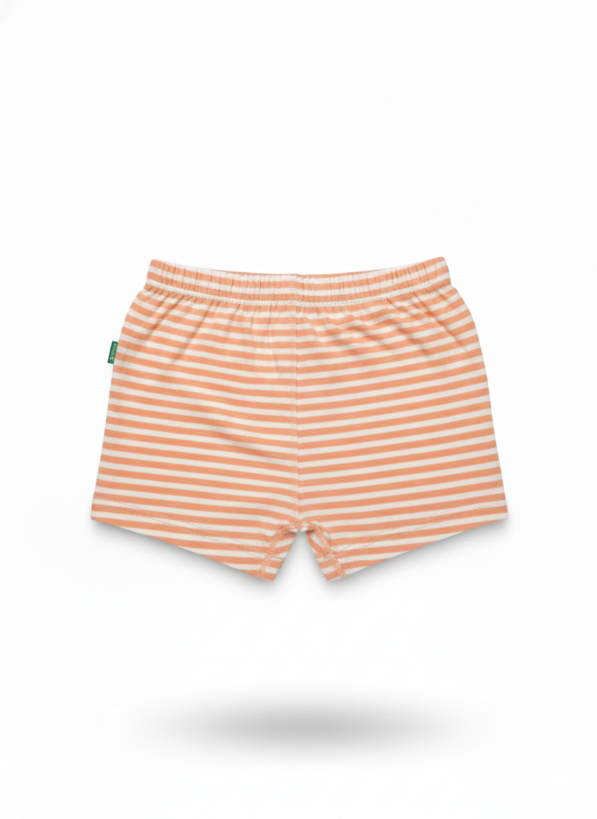 Shorts (Size:12-18 Months)