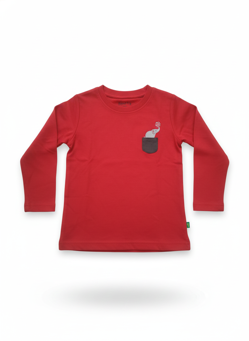 T-Shirt (Size:12-18 Months)