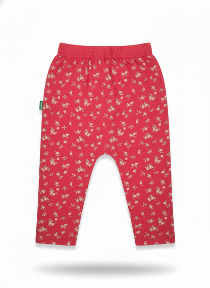 Pant (Size: 2-3 Years)