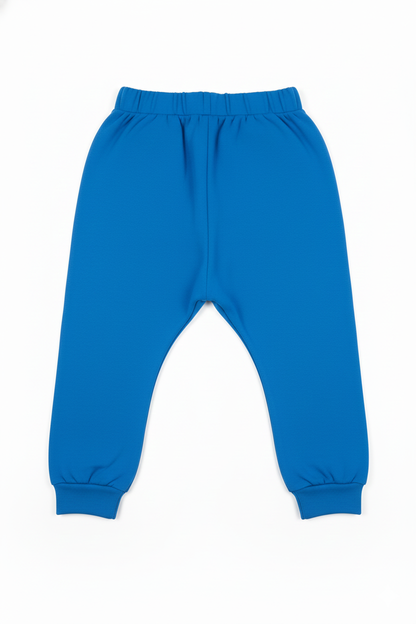 Pant (Size:12-18 Months)