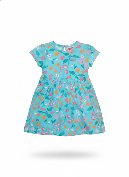 Frock (Size: 9-12 Months)
