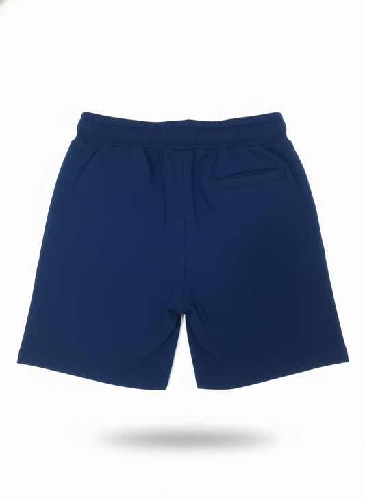 $ Blue Skater Shorts (Size:2-3 Years)