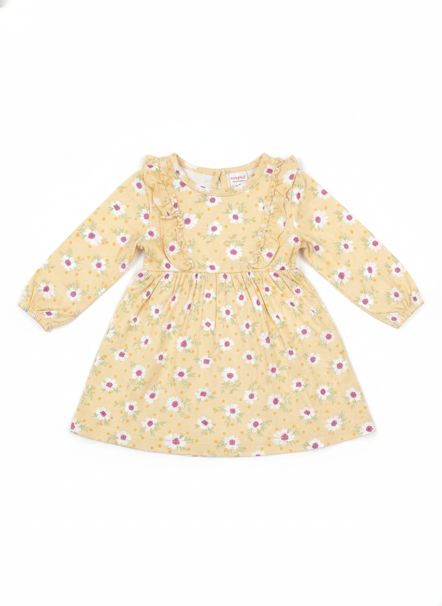 Frock (Size:9-12 Month)