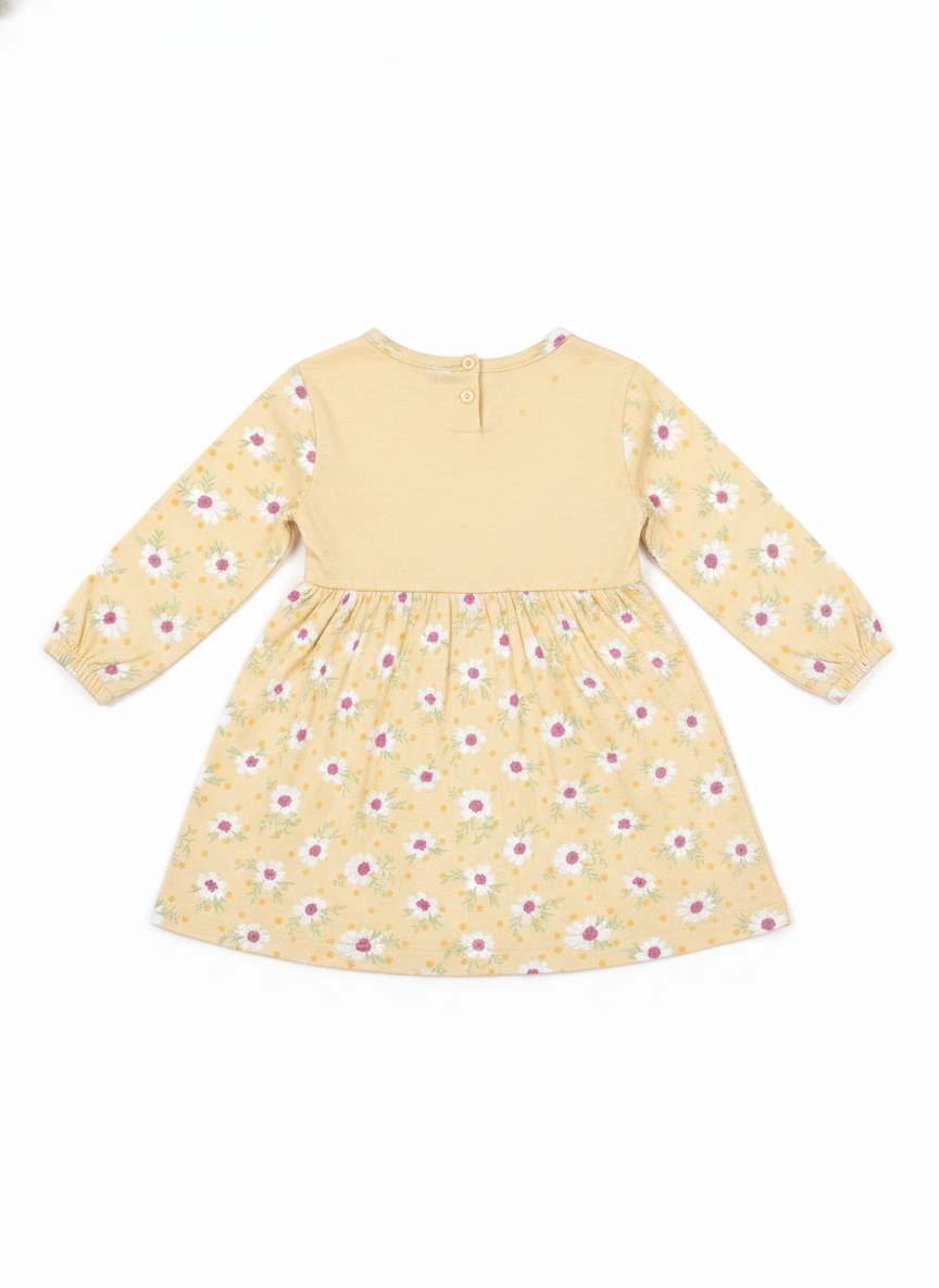 Frock (Size:9-12 Month)
