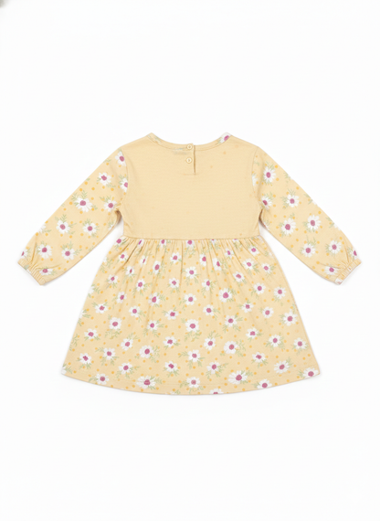 Frock (Size:9-12 Month)