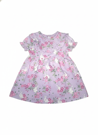 Frock (Size:9-12 Months)