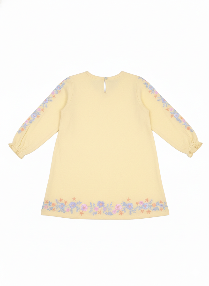Frock (Size:2-3 Years)
