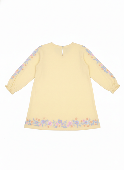Frock (Size:2-3 Years)