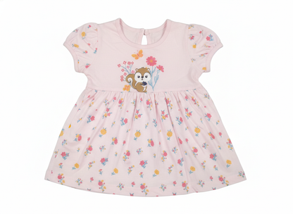 Frock (Size:3-6 Months)