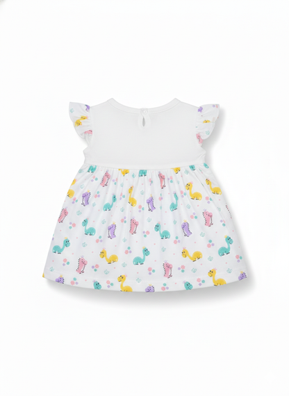 Frock (Size:0-3 Month)