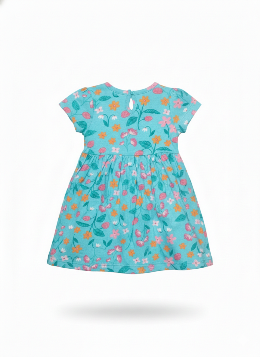 Frock (Size: 9-12 Months)