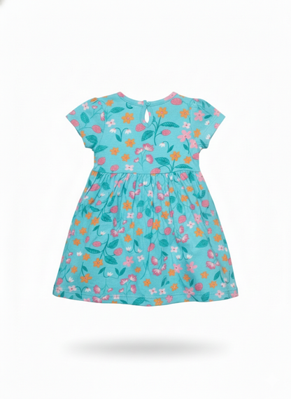 Frock (Size: 9-12 Months)
