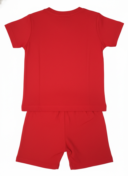 T-Shirt & Shorts (Size: 9-12 Months)
