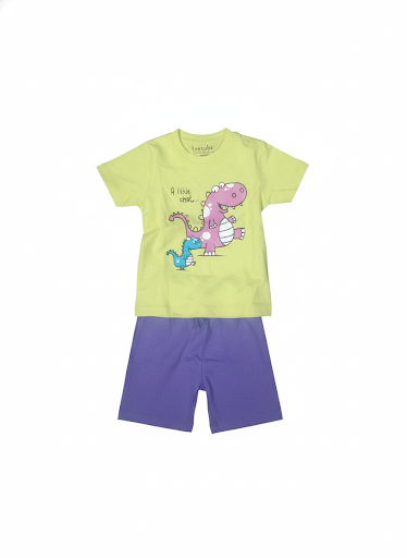 Shorts & T-Shirts (Size:18-24 Months)