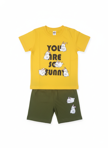 Shorts & T-Shirt (Size: 6-9 Months)