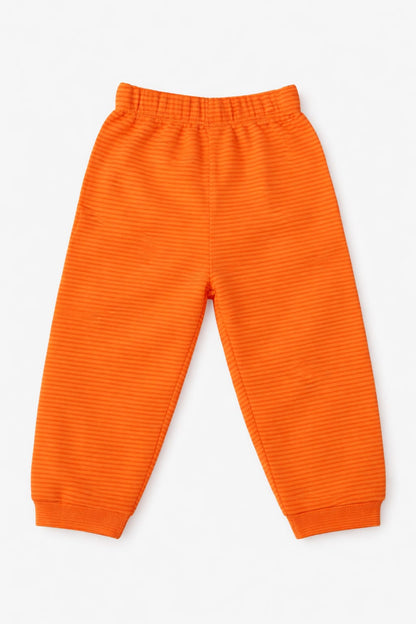 Pant (Size: 9-12 Months)