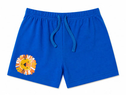 Shorts (Size: 2-3 Years)
