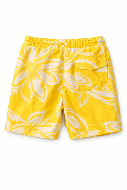 Shorts (Size: 2-3 Years)