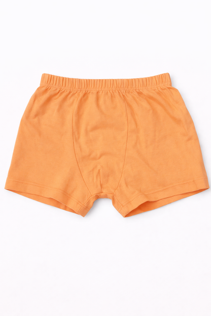 Shorts (Size:18-24 Months)